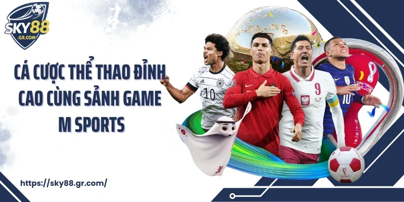 Cá cược thể thao đỉnh cao cùng sảnh game M Sports